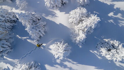 Aerial view of a young man walking on snowshoes through a pristine winter landscape. Snow-covered trees and long shadows create a minimalist, peaceful, and adventurous winter scene.
