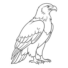 Fototapeta premium Eagle line art in black and white