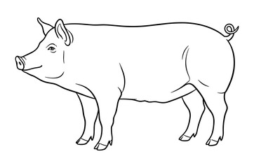 Fototapeta premium Pig profile against white background