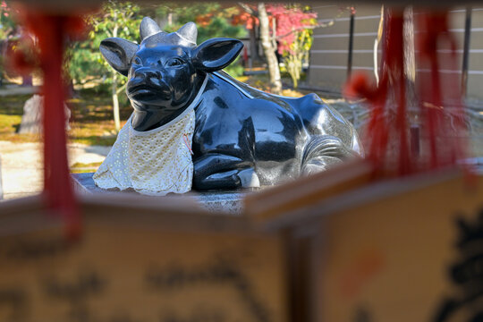 Black Sacred Cow Sculpture in Kyoto Temple
