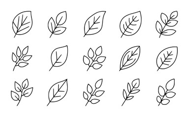 Collection of simple leaf and branch for nature and botanical