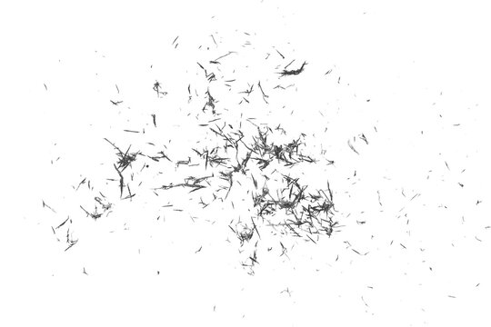 Black eraser scrap, shavings pattern isolated on white background, top view, clipping path