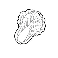 [Vector EPS]Fresh and healthy Chinese cabbage vegetable illustration