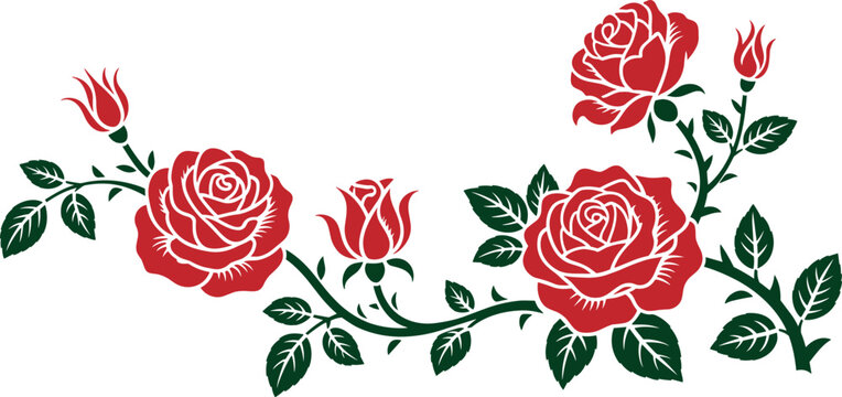 Red roses and buds with green leaves on white background flower floral bloom