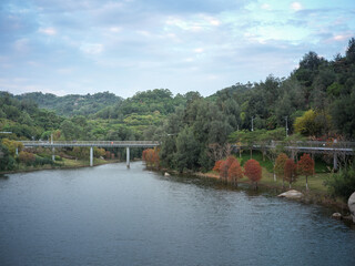 Fototapeta premium Bridge and Autumn Scenery at Dongshan Reservoir, Xiamen, Fujian