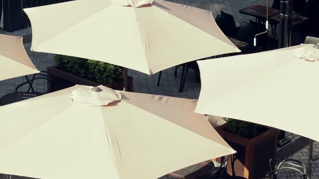 Several large patio umbrellas cover outdoor seating with tables and chairs. Planters and paved surface are visible between umbrellas.