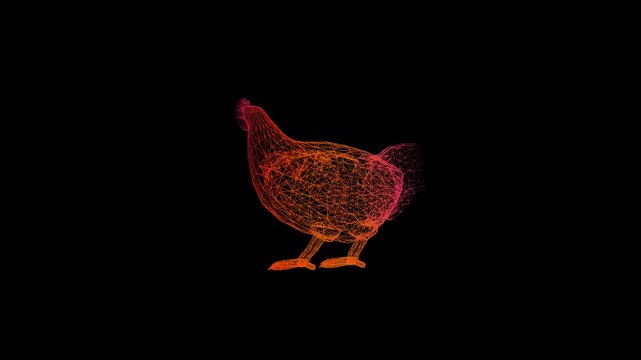 3D Wireframe Rotating Chicken