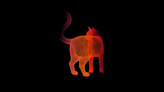 3D Wireframe Rotating Cat