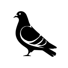 Silhouette of pigeon standing alone on white background