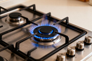 Blue Flame Gas Stove Burner Ignition