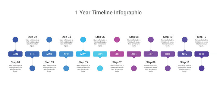 1 Year Timeline Roadmap Infographic with 12 Steps and Monthly Milestones.