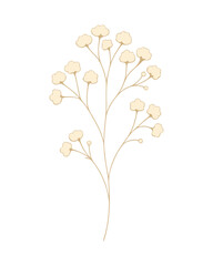 Minimal Botanical Illustration of Baby&rsquo;s Breath Sprig in Soft Neutral Tones on White Background