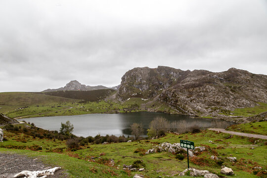 Glacial Enol Lake in the Picos de Europa National Park, Covadonga, Asturias, Spain