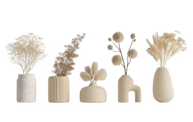Collection of Beige Dried Floral Arrangements in Modern Vases Keywords: dried flowers, dried isolated on a transparent background