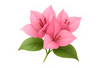 A blooming pink lotus flower with delicate petals and green leaves is isolated on a white background, capturing the natural beauty of a spring macro floral blossom