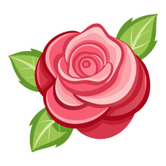 Vibrant pink rose with lush green leaves on white background