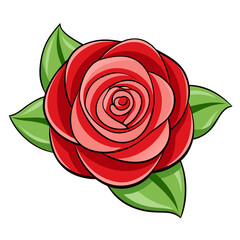 Vibrant red rose with lush green leaves on white background