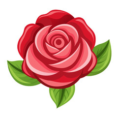 Vibrant pink rose with lush green leaves on white background