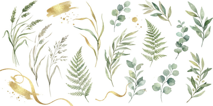 Set of watercolor green leaves, ferns, pampas grass, and golden brush strokes for botanical design elements