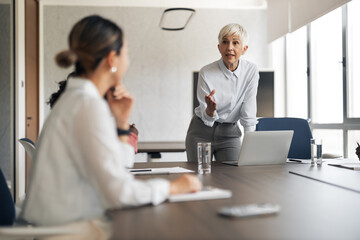 Obraz premium Mature businesswoman leading business meeting discussing strategy