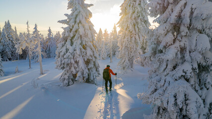 Beautiful Winter Mountain Scenery with Man on Cross-Country Skis , Aerial View
