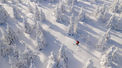 Beautiful Winter Mountain Panorama with Snowy Spruce Trees and Peaks in the Background