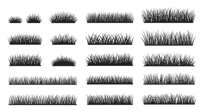 Extensive collection of various grass silhouette illustrations showing different heights densities and styles for landscape design.