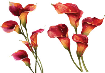 bouquet of red roses