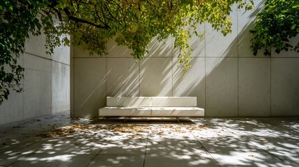 White bench sits under tree's shade in concrete courtyard on sunny day