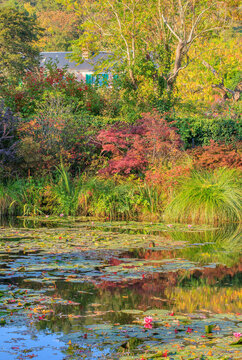 Giverny, jardin d'eau