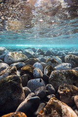 Obraz premium Underwater landscape with stones sea bottom and sun rays in water.