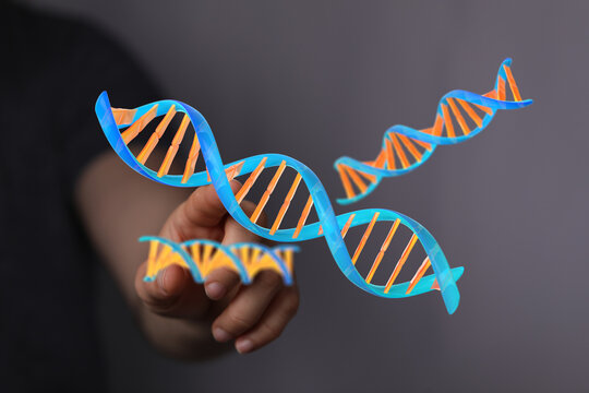 3D render of a hand touching a DNA strand model, representing genetics, healthcare, and scientific advancement - Powered by Adobe