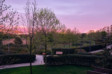 The Natural Ornithological Park in the Imereti Lowland at the pink sunset light. Sirius. Russia