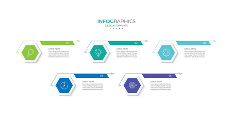 Vector infographic design template with 5 options or steps
