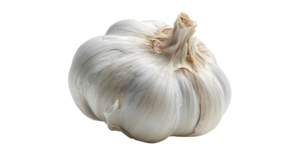 A close-up studio shot of a single whole head of garlic on a white background.