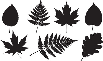 Naklejka premium Collection of various leaf silhouettes isolated on transparent background