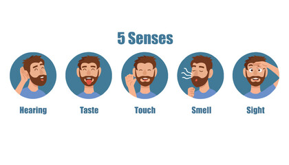 An infographic illustration of a man experiencing the five human senses