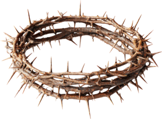 Crown of thorns ring sharp dry brown religious symbol pain