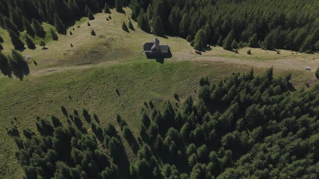 Top Down Aerial Drone View of Dense Spruce Picea Abies Forest Bordering Abandoned Mountain Cabin
