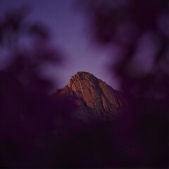 Mountain peak illuminated by sunrise or sunset with rugged terrain and rocky surface through blurry foliage