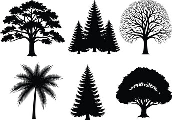 Tree silhouette set, black vector trees, coniferous, palm, leafless, rounded canopy, botanical shapes, nature icons, flat vector illustration © MdKhademul