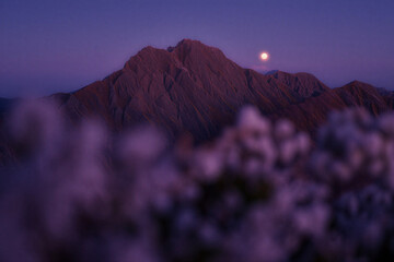 Mountain range at dusk with moon rising behind peak and blurred foreground vegetation in purple twilight