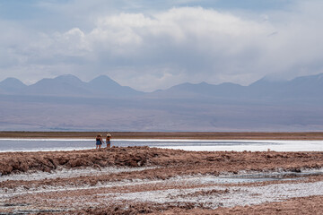 View of Laguna Tebinquiche in Atacama desert, Chile.View of Laguna Tebinquiche in Atacama desert, Chile.v