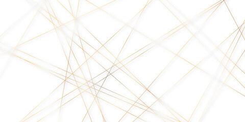 Abstract colorful lines on transparent background. random chaotic lines abstract geometric patterns of modern design. geometric design created using light colorful digital net web line technology. © Arte Acuático