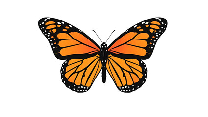 Obraz premium Orange and Black Butterfly with White Spots on Black Background