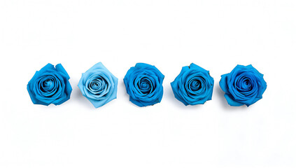 Five vibrant blue roses arranged in a horizontal line on a white background