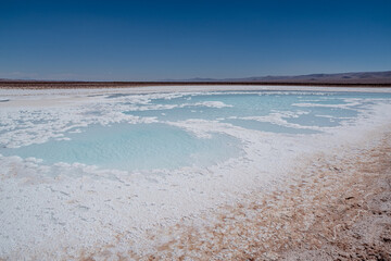 Hidden lagoon Baltinache , Lagunas escondidas Baltinache in Atacama Desert, Chile
