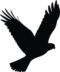 Majestic wild bird soars gracefully through the air with wings widely spread in powerful flight