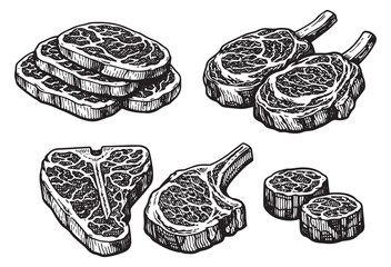 Hand drawn line art steak cuts set featuring t-bone, ribeye, sirloin, and filet mignon steaks for butcher shop branding