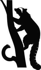 North American Raccoon Silhouette Expertly Climbing a Sturdy Tree Trunk